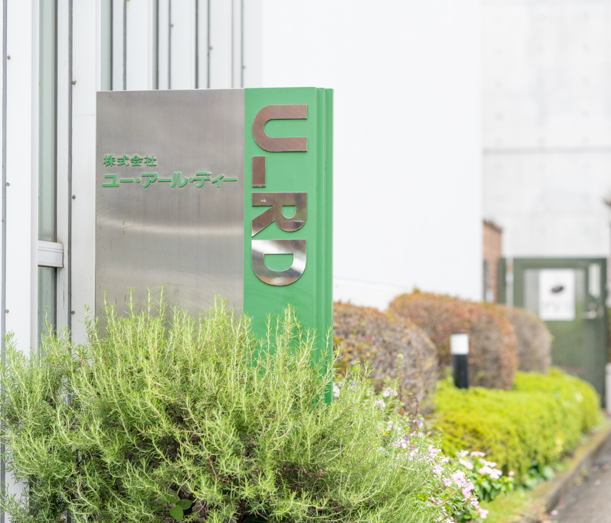 インタビューイメージ