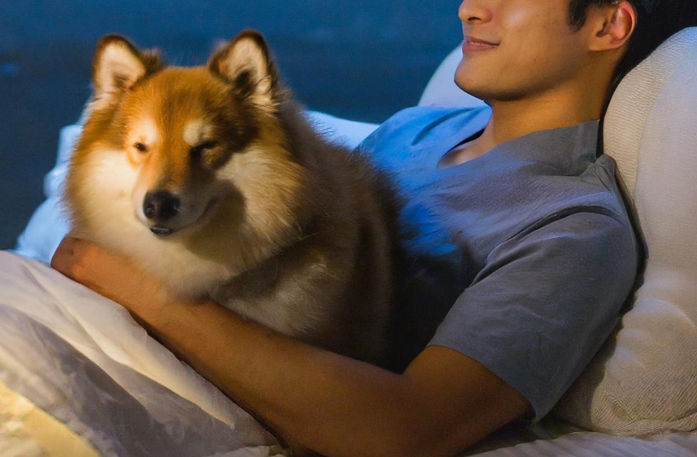 ワークフローイメージ